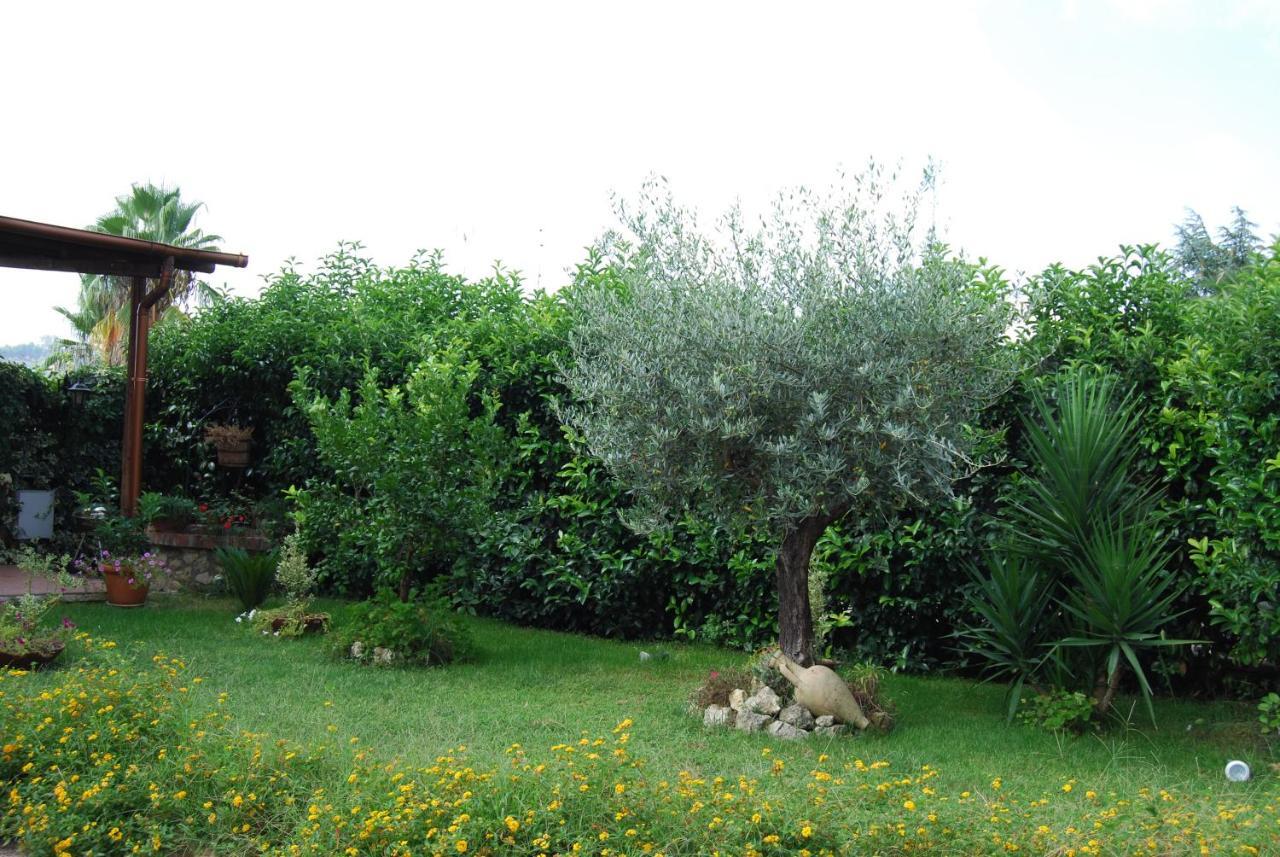 ***** La Casa Di Gio Lägenhet Caltanissetta Exteriör bild